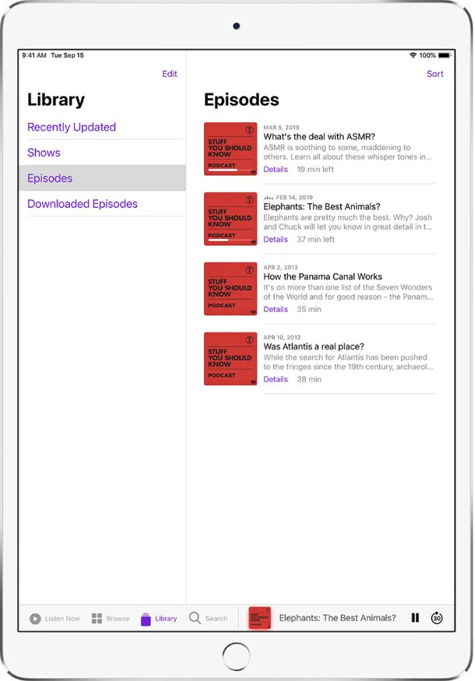 Manage Your Podcast Subscriptions And Library On Ipad Apple Support