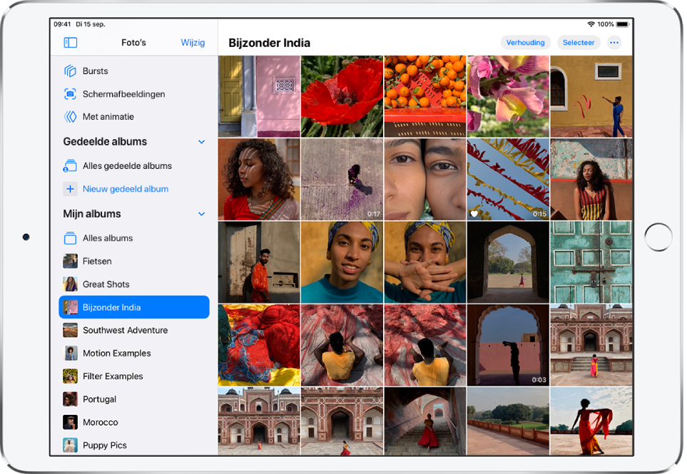 Aan de linkerkant van het scherm is de navigatiekolom van Foto's geopend. Onder de kop 'Mijn albums' is het album 'Amazing India' geselecteerd. De rest van het iPad-scherm is gevuld met tegels met foto's en video's van het Amazing India-album.