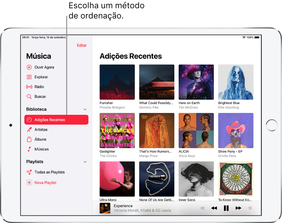 Tela da Biblioteca mostrando a barra lateral à esquerda com as palavras Adições Recentes destacadas. Os álbuns adicionados recentemente aparecem à direita. O reprodutor encontra-se na parte inferior direita.