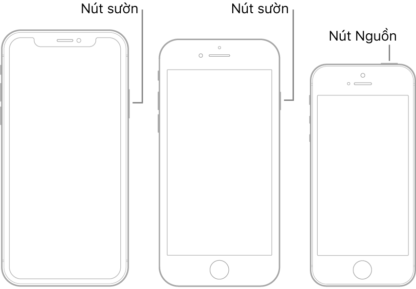 Hình minh họa đang hiển thị các vị trí của các nút Nguồn và nút sườn trên iPhone.