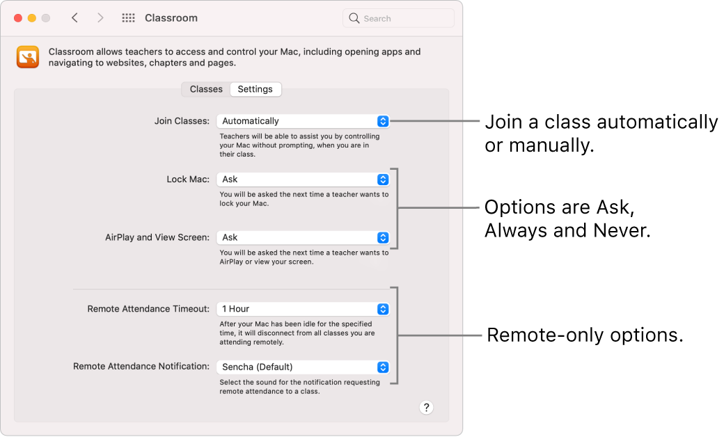 Students’ view of Classroom permissions that are available to them.