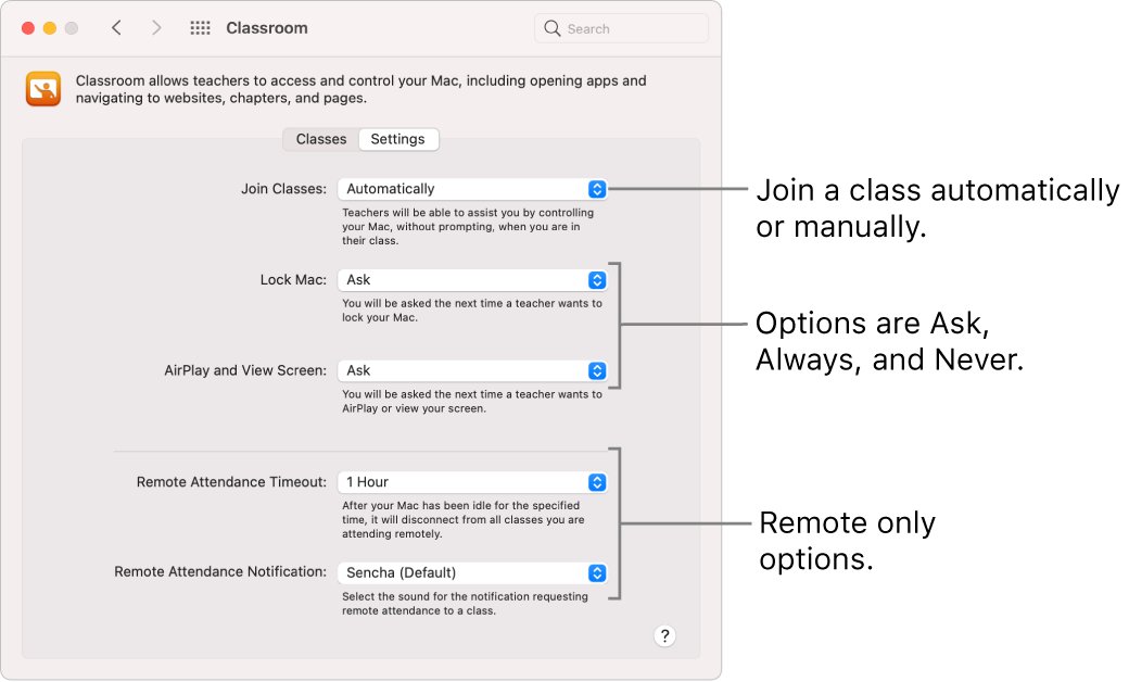 Students’ view of Classroom permissions that are available to them.