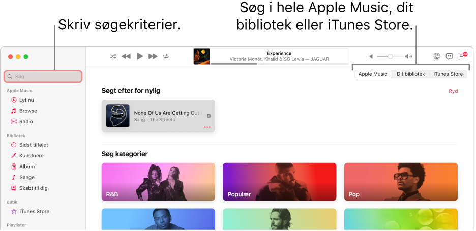 Vinduet Apple Music viser søgefeltet i øverste venstre hjørne, listen med kategorier i midten af vinduet og Apple Music, Dit bibliotek og iTunes Store, der er tilgængelige i øverste højre hjørne. Skriv søgekriterier i søgefeltet, og vælg derefter, om du vil søge i hele Apple Music, kun dit bibliotek eller i iTunes Store.