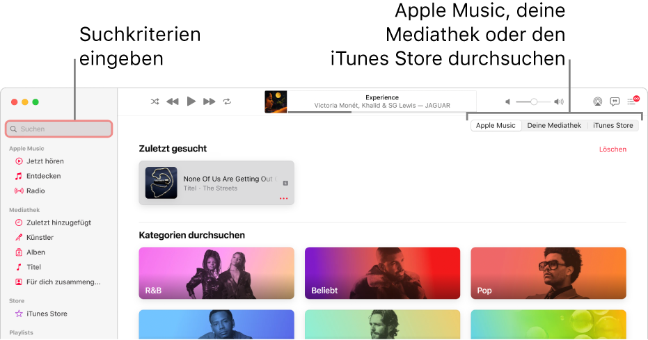 Das Apple Music-Fenster mit dem Suchfeld oben links, der Kategorienliste in der Fenstermitte und den Optionen „Apple Music“, „Deine Mediathek“ und „iTunes Store“ oben rechts. Gib Suchkriterien in das Suchfeld ein und wähle dann aus, ob Apple Music, nur deine Mediathek oder der iTunes Store durchsucht werden soll.