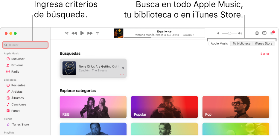 La ventana de Apple Music mostrando el campo de búsqueda en la esquina superior izquierda, la lista de categorías en el centro de la ventana, y la opción Apple Music, “Tu biblioteca” o iTunes Store disponible en la esquina superior derecha. Ingresa criterios de búsqueda en el campo de búsqueda y selecciona buscar en todo Apple Music, sólo en tu biblioteca o iTunes Store.