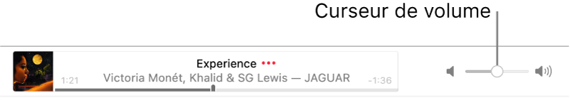 Le curseur de volume.