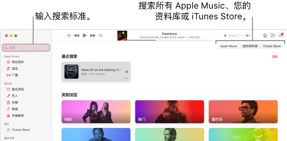 Apple Music 窗口的左上角显示搜索栏，窗口中间是类别列表，右上角显示“Apple Music”、“您的资料库”和可用的 iTunes Store。在搜索栏中输入搜索条件，然后选取是搜索所有 Apple Music、仅搜索您的资料库还是搜索 iTunes Store。