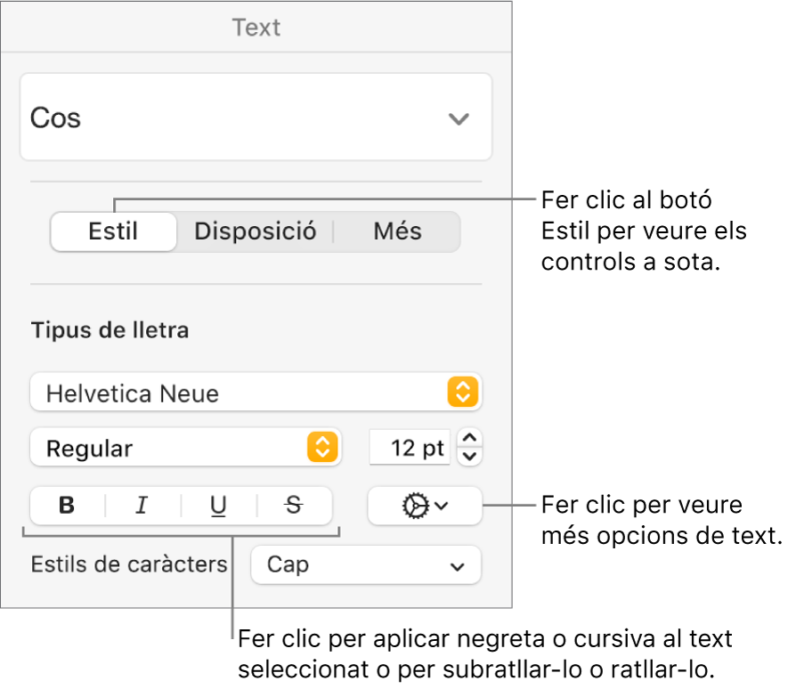 Els controls d’estil de la barra lateral Format, amb llegendes per als botons Negreta, Cursiva, Subratllar i Ratllar.