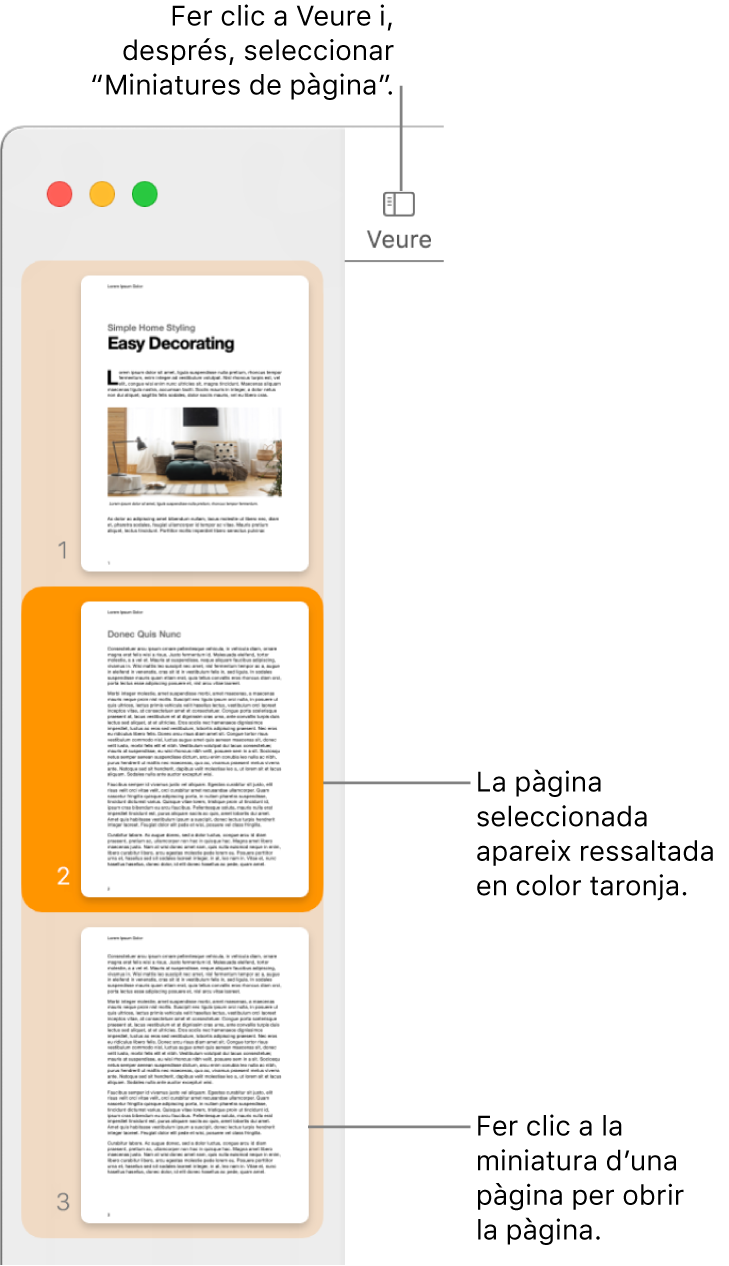 La barra lateral a la part esquerra de la finestra del Pages amb la vista “Miniatures de pàgina” oberta i una pàgina seleccionada que es mostra destacada en color taronja fosc.