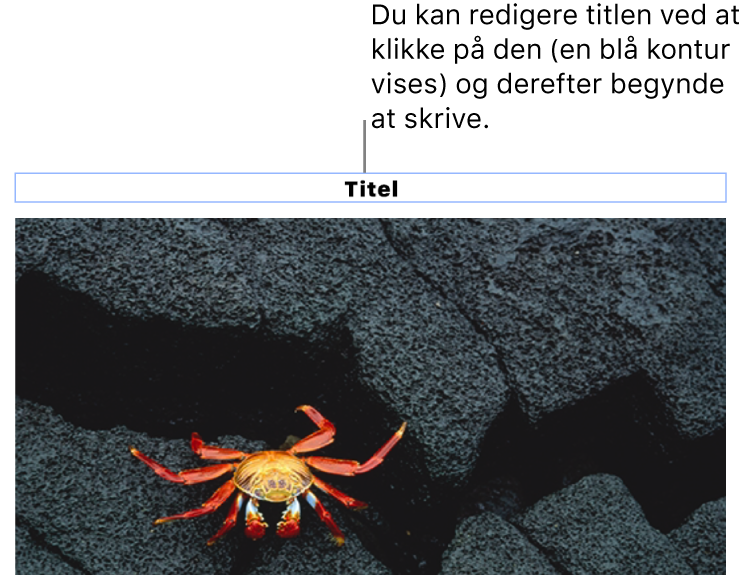 Eksempeltitlen “Titel” vises under et foto, og en blå kontur rundt om feltet med titlen viser, at det er valgt.