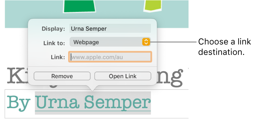 The link editor controls with a Display field, “Link to” pop-up menu (set to Webpage) and Link field. The Remove button and Open Link button are at the bottom of the controls.