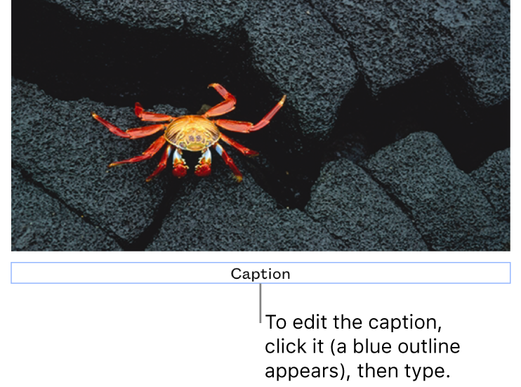is there a way to make captions on photo for mac