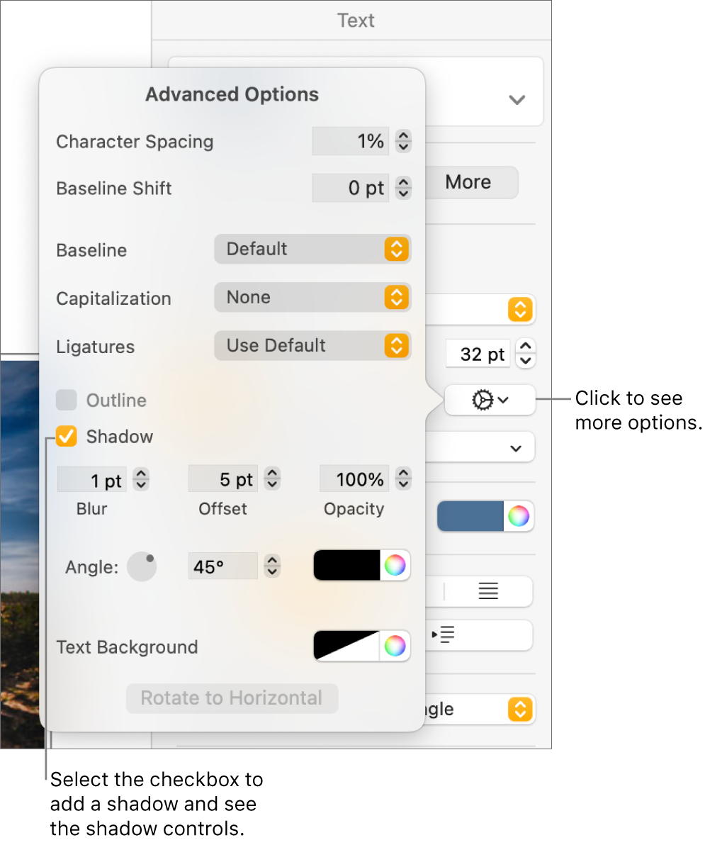 The Advanced Options menu open with the Shadows checkbox selected and controls for setting blur, offset, opacity, angle, and color.
