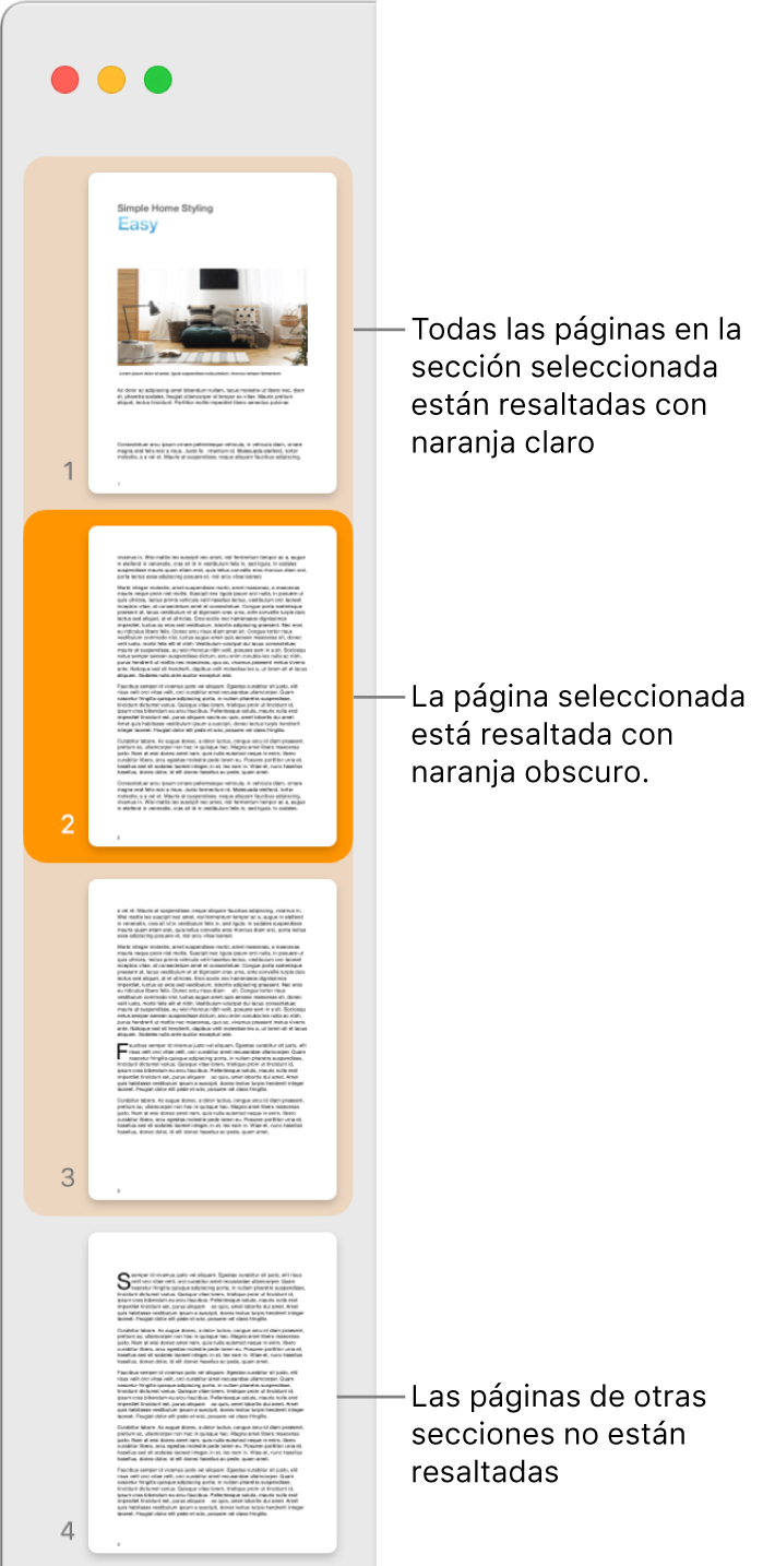 Barra lateral Visualización de miniaturas de página con la página seleccionada resaltada en naranja oscuro, y todas las páginas de la sección seleccionada resaltadas en naranja claro.