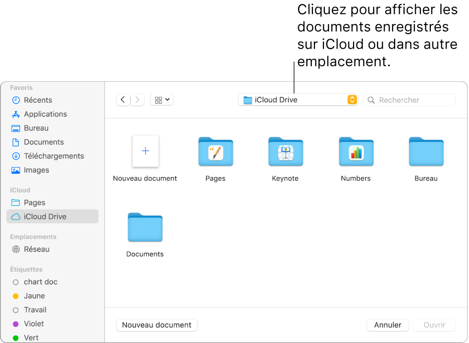 La boîte de dialogue Ouvrir avec la barre latérale s’ouvre à gauche et le lecteur iCloud Drive sélectionné apparaît dans le menu contextuel en haut de l’écran. Les dossiers de Keynote, Numbers et Pages apparaissent dans la boîte de dialogue ainsi qu’un bouton Nouveau document.