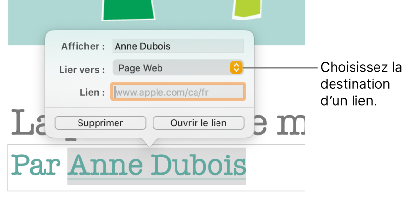 Les commandes de l’éditeur de liens avec les champs Affichage et Lien ainsi que le menu contextuel Liens vers (destination : Page Web). Les boutons Supprimer et Ouvrir le lien se trouvent au bas des commandes.
