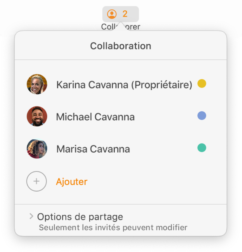 Le menu Collaboration affiche les noms des personnes collaborant au document. Les options de partage sont en dessous des noms.