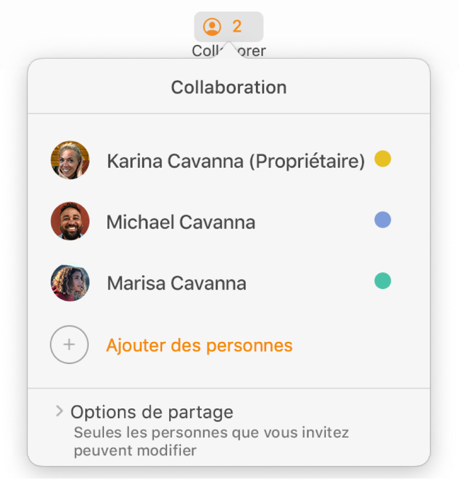 Le menu Collaboration affichant le nom des personnes qui collaborent sur le document. Les options de partage se trouvent sous les noms.