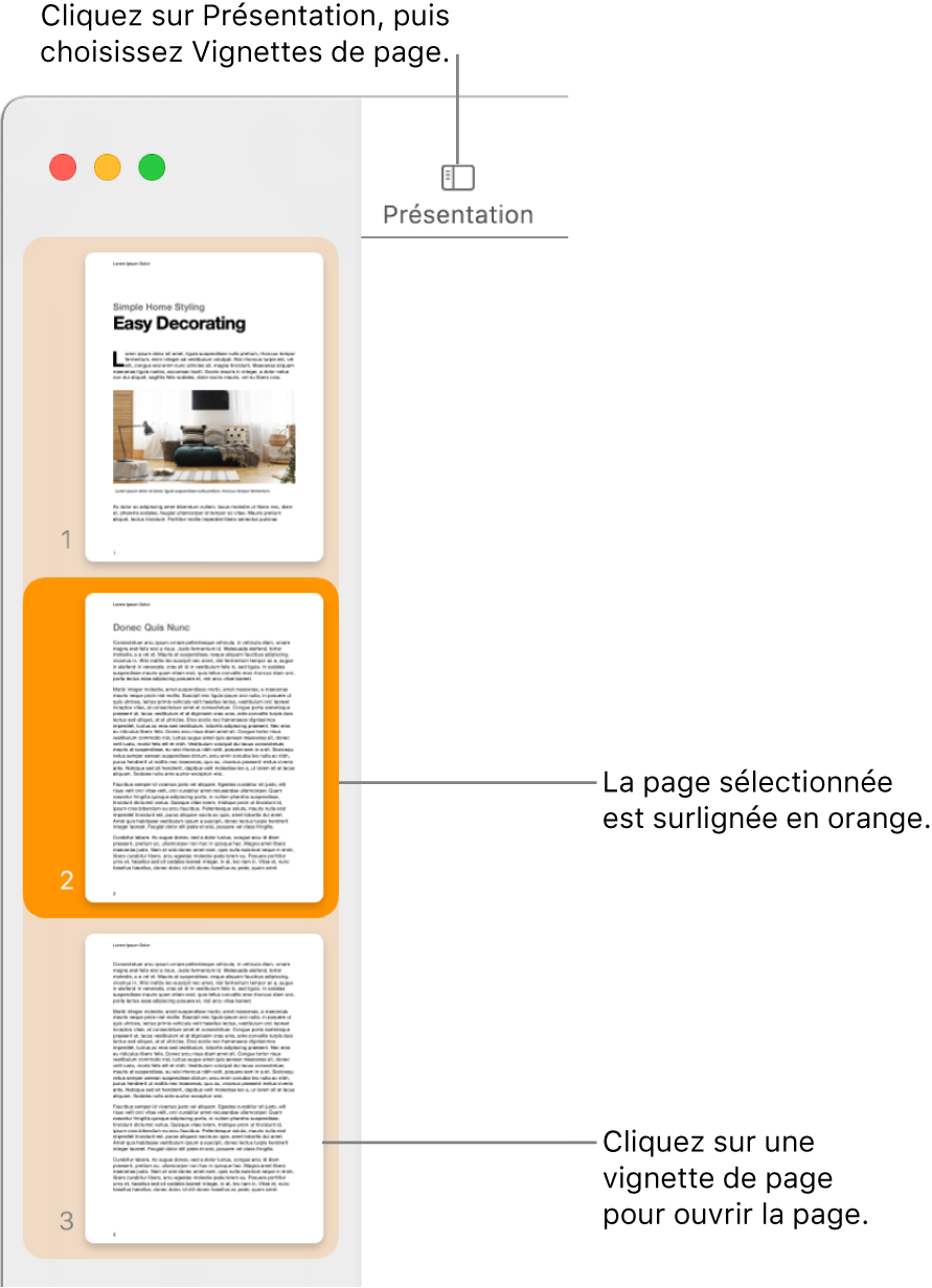 La barre latérale du côté gauche de la fenêtre Pages contenant la présentation Vignettes de page ouverte et la page sélectionnée surlignée en orange foncé.