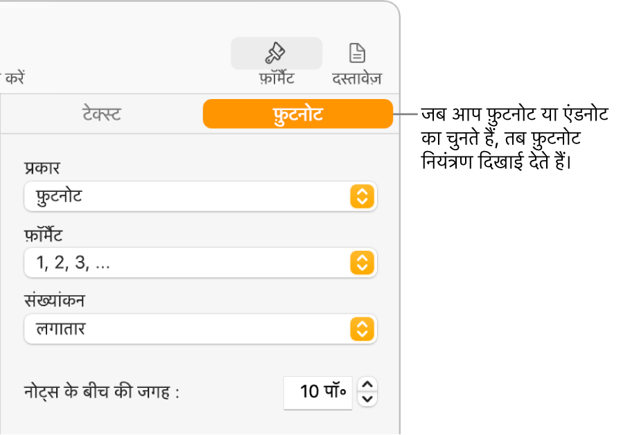 प्रकार, फ़ॉर्मैट, संख्यांकन और नोट्स के बीच की जगह के लिए पॉपअप मेनू दिखाती “फ़ुटनोट” पैन।