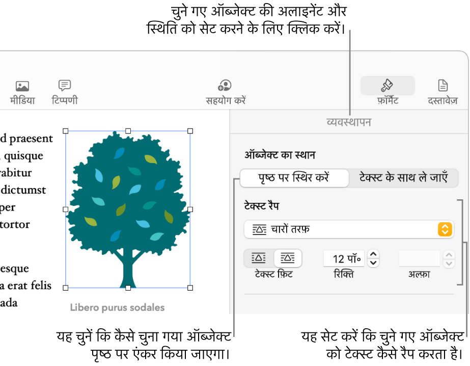 “व्यवस्थित करें” साइडबार प्रदर्शित करने वाला “फ़ॉर्मैट करें” मेनू। ऑब्जेक्ट प्लेसमेंट सेटिंग्ज़ “व्यवस्थित करें” साइडबार के शीर्ष पर हैं और उसके नीचे “टेक्स्ट रैप करें” सेटिंग्ज़ हैं।