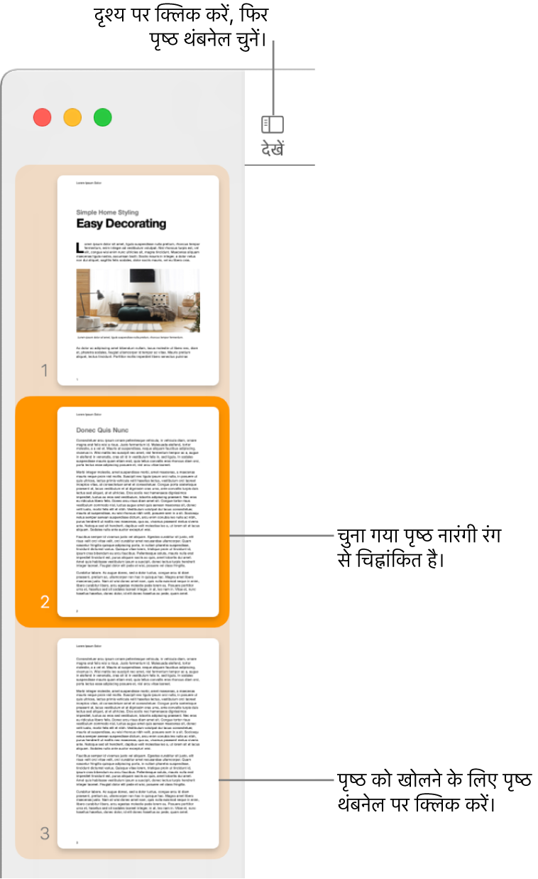 खुले हुए पृष्ठ थंबनेल दृश्य और गहरे नारंगी रंग से चिह्नांकित चुने गए पृष्ठ के साथ Pages विंडो के बाईं ओर साइडबार।