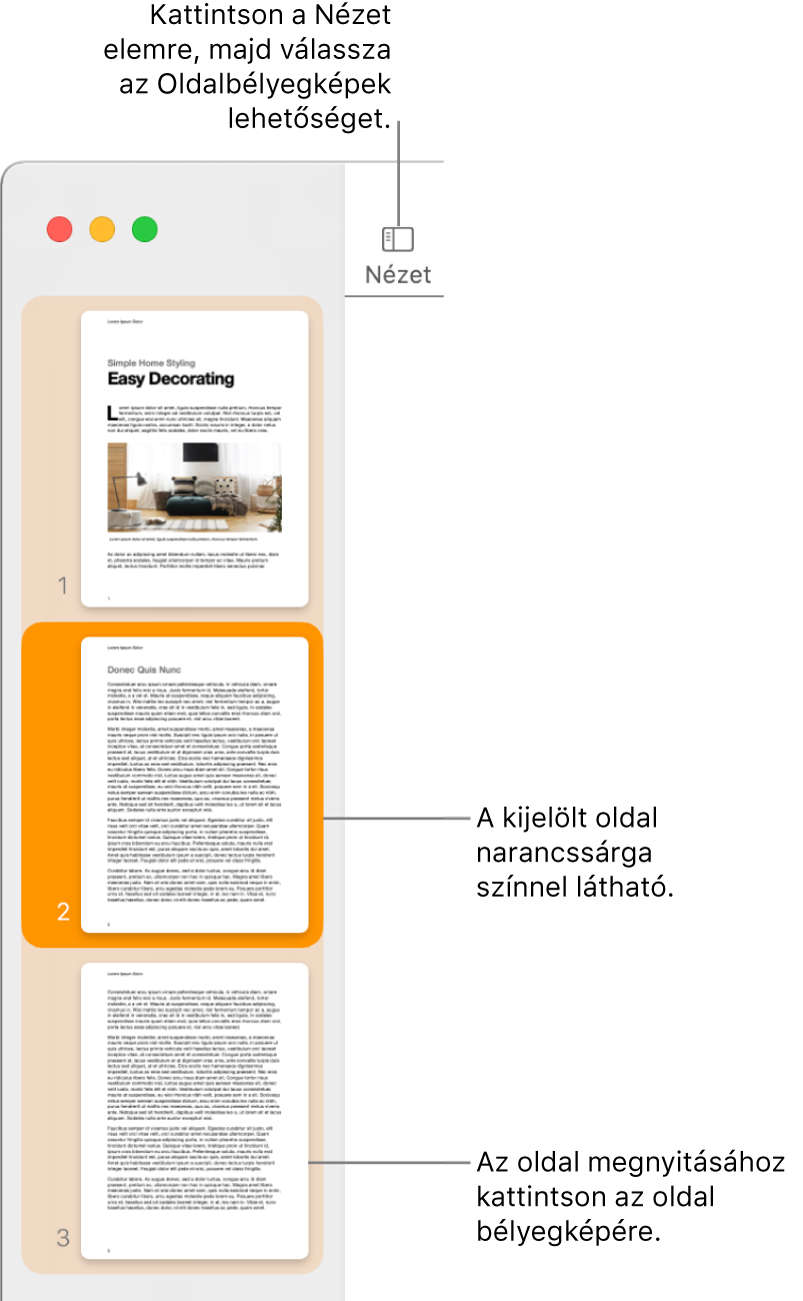 Az oldalsáv a Pages ablakának bal oldalán, rajta megnyitva az Oldalbélyegképek nézete, és a kiválasztott oldal sötét narancssárga színnel kijelölve.