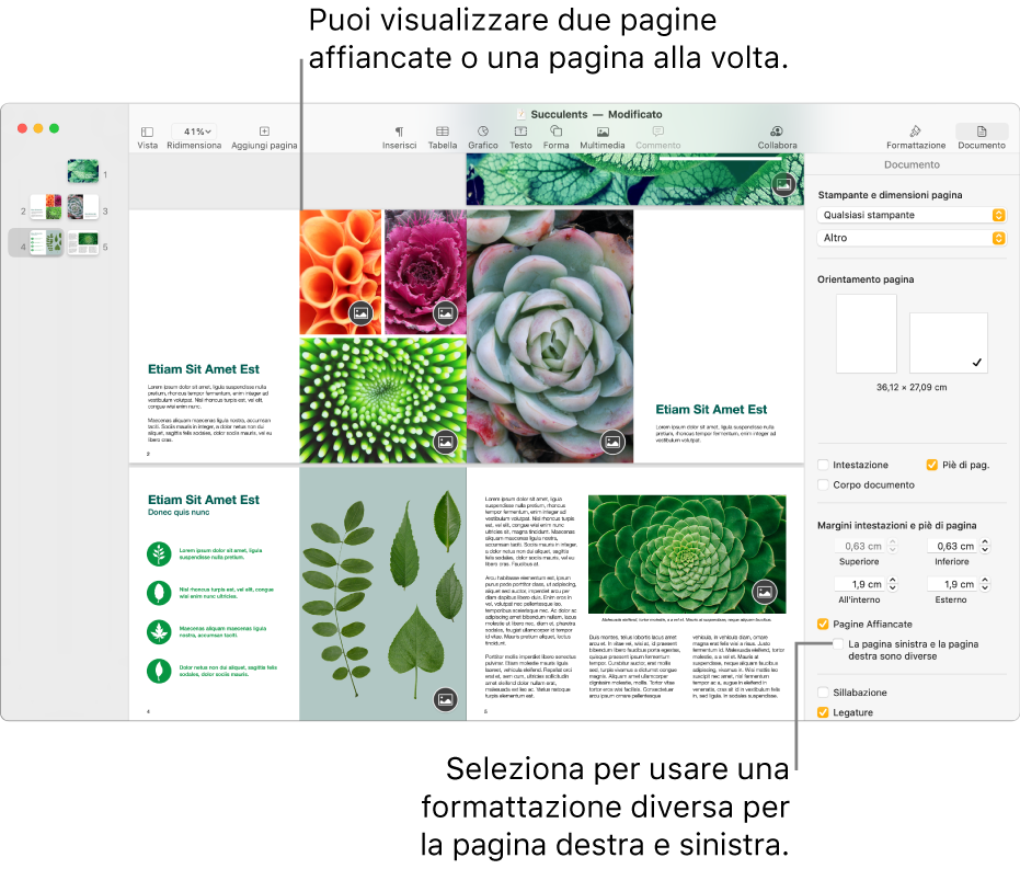 La finestra di Pages con miniature di pagina e pagine di documenti visualizzate come due pagine affiancate. Nella barra laterale Documento a destra, il riquadro “La pagina sinistra e la pagina destra sono diverse” non è selezionato.