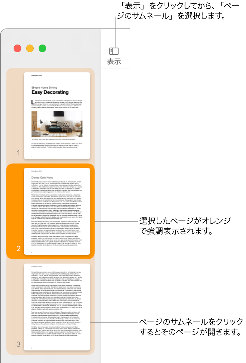 「Pages」ウインドウの左側のサイドバー。ページのサムネール表示が開いていて、選択したページがダークオレンジでハイライトされています。