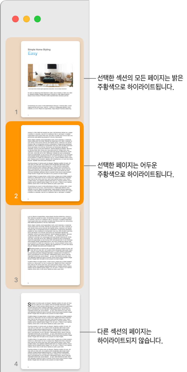 축소판 보기 사이드바에 선택한 페이지가 어두운 주황색으로 하이라이트되고, 선택한 섹션의 모든 페이지가 밝은 주황색으로 하이라이트됨.