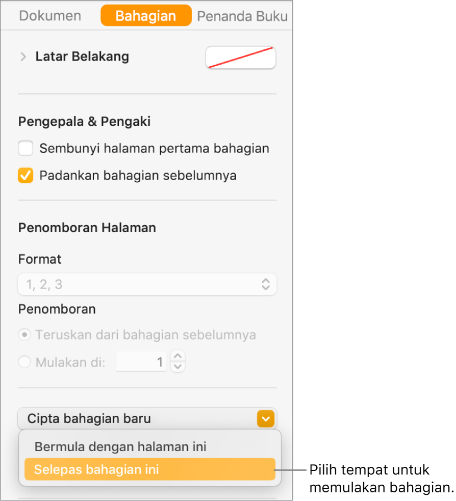 Bar sisi Dokumen dengan tab Bahagian dipilih. Berhampiran bahagian bawah bar sisi ialah menu timbul “Bahagian bermula di” dan menu timbul “Cipta bahagian baru”.