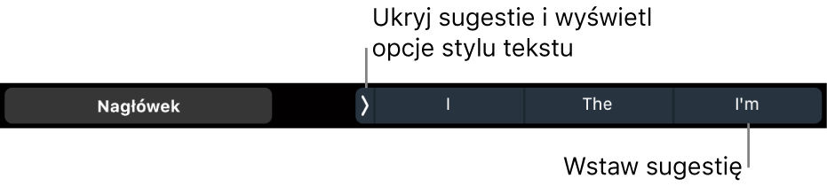 Pasek Touch Bar na MacBooku Pro z narzędziami do wybierania stylu tekstu, ukrywania sugestii pisowni oraz wstawiania sugestii pisowni.