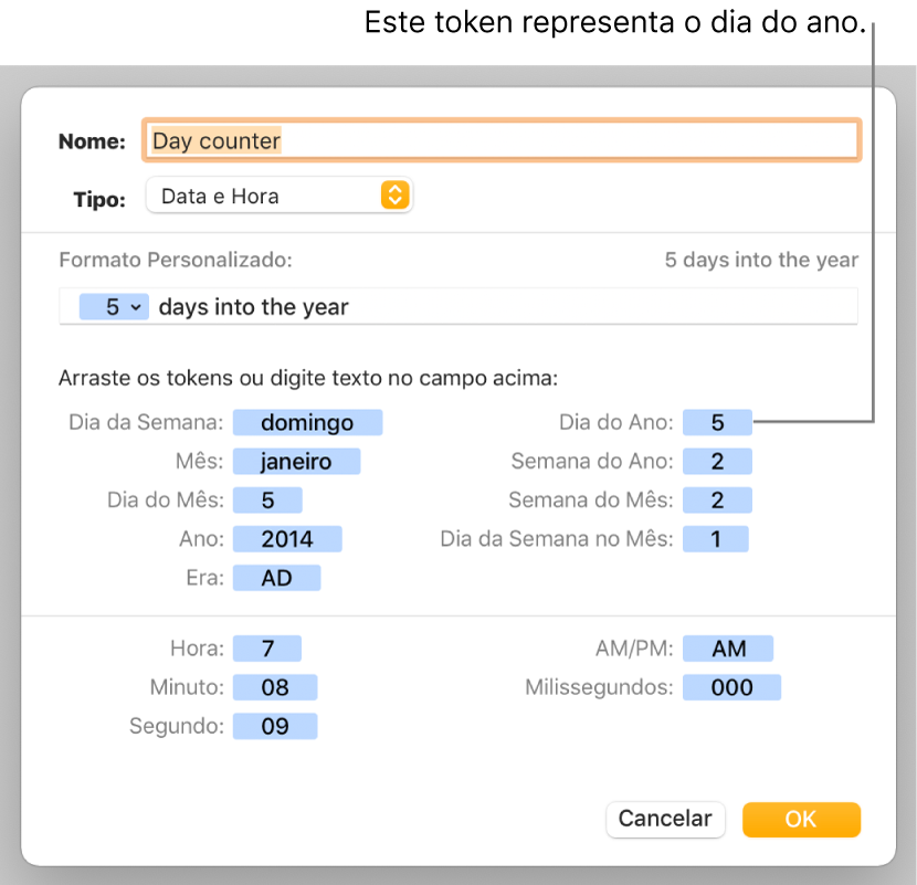 Janela de formato personalizado da célula, com controles para escolher formatação de data e hora personalizada.