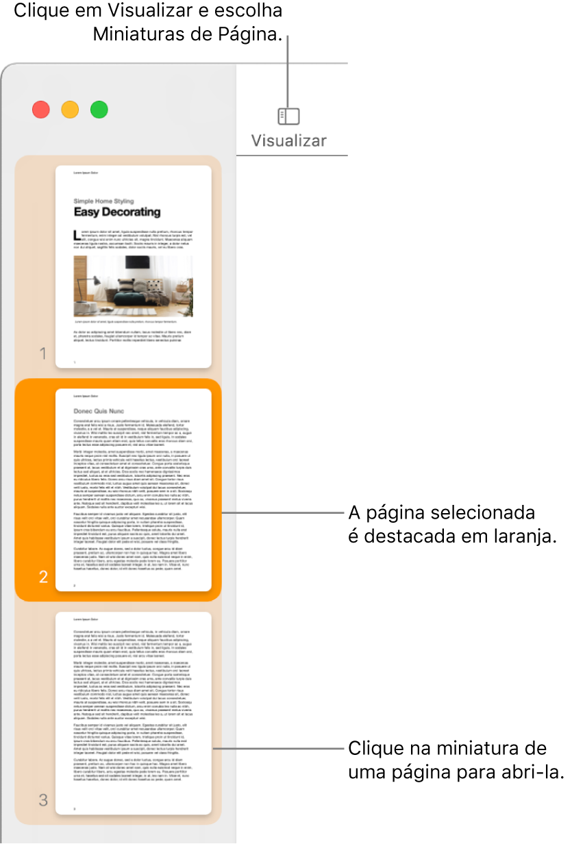 Barra lateral no lado esquerdo da janela do Pages, com a visualização de Miniaturas de Página aberta e uma página selecionada destacada em laranja escuro.