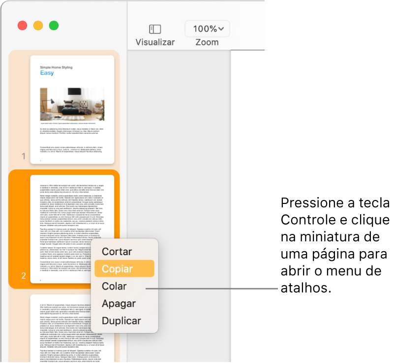 Visualização de Miniaturas de Página, com uma miniatura selecionada e o menu de atalho aberto.