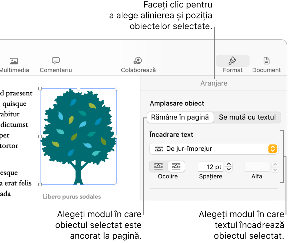 Meniul Format afișând bara laterală Aranjare. Configurările Amplasare obiect se află în partea de sus a barei laterale Aranjare și configurările Încadrare text sunt dedesubt.