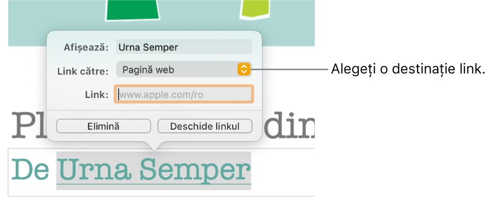 Comenzile editorului de link cu un câmp Afișare, meniul pop‑up “Link către” (configurat la Pagină web) și câmpul Link. În partea de jos a comenzilor se află butonul Elimină și butonul Deschide linkul.