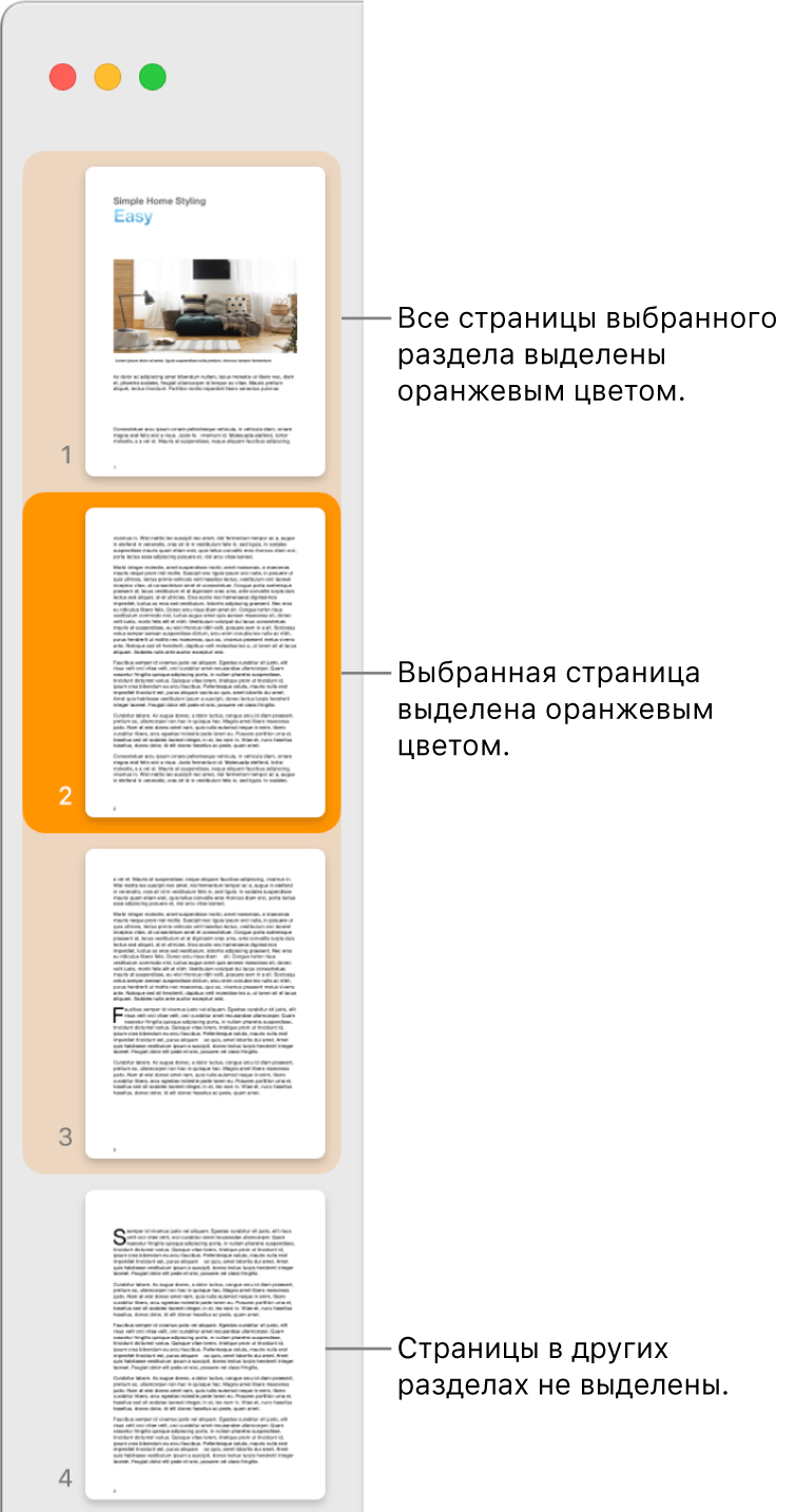Режим просмотра миниатюр. Выбранная страница выделена темно-оранжевым цветом, все страницы выбранного раздела выделены светло-оранжевым цветом.