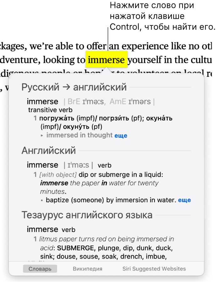 Абзац с выделенным словом и окно, в котором показано определение слова и статья толкового словаря. Кнопки внизу окна обеспечивают доступ к словарю, Википедии, предложенным Siri веб-сайтам.