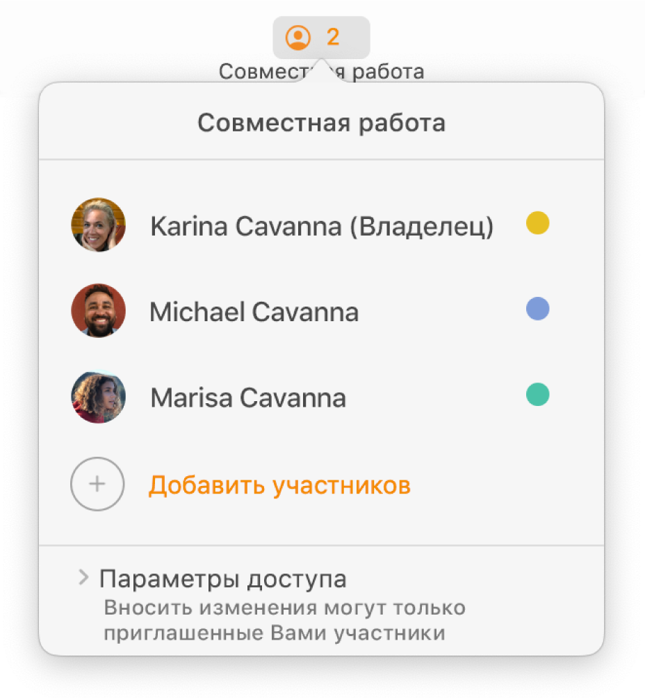 Меню «Совместная работа», в котором показаны имена людей, совместно работающих над документом. Под именами находятся параметры общего доступа.