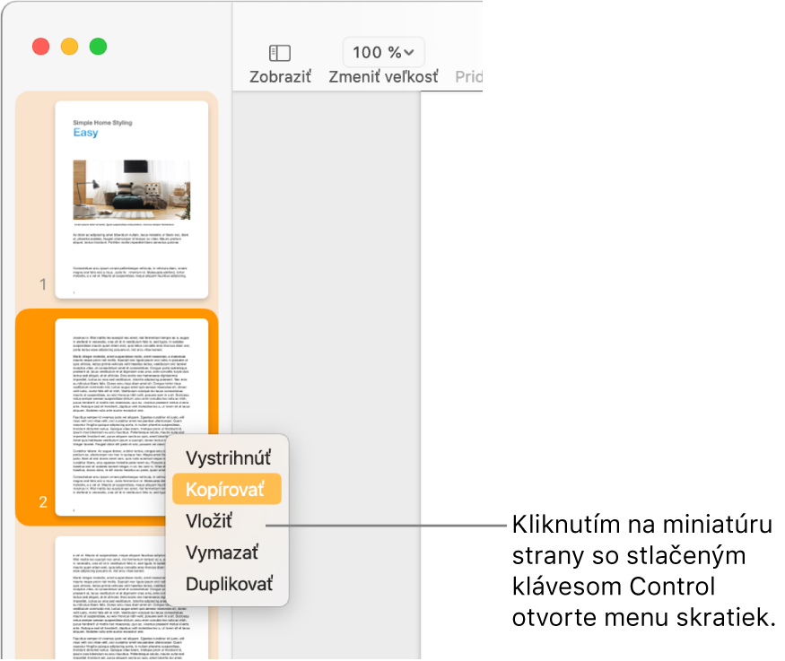 Zobrazenie Miniatúry strán s jednou označenou miniatúrou a otvoreným menu skratiek.