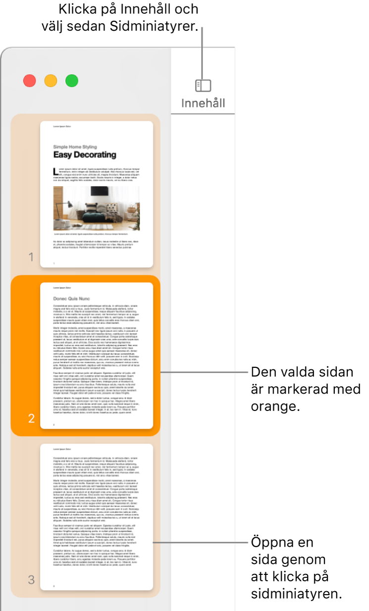 Sidofältet till vänster i Pages-fönstret med sidminiatyrvyn öppen och en vald sida markerad med mörkt orange.