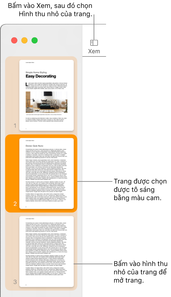 Thanh bên ở bên trái của cửa sổ Pages với chế độ xem Hình thu nhỏ của trang được mở và trang được chọn được tô sáng ở màu cam sẫm.