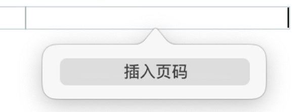 页眉下方的“插入页码”按钮。