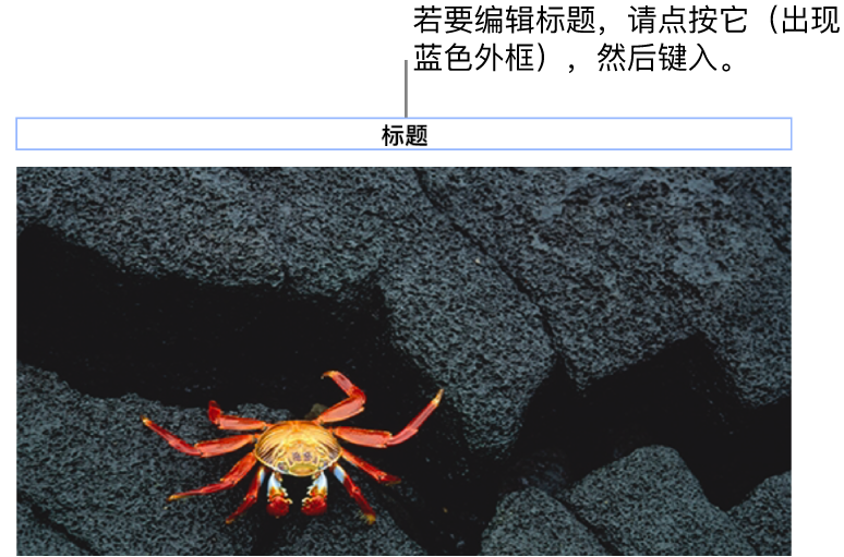 占位符标题“标题”显示在照片下方;标题栏周围的蓝色外框表示它已被选中。