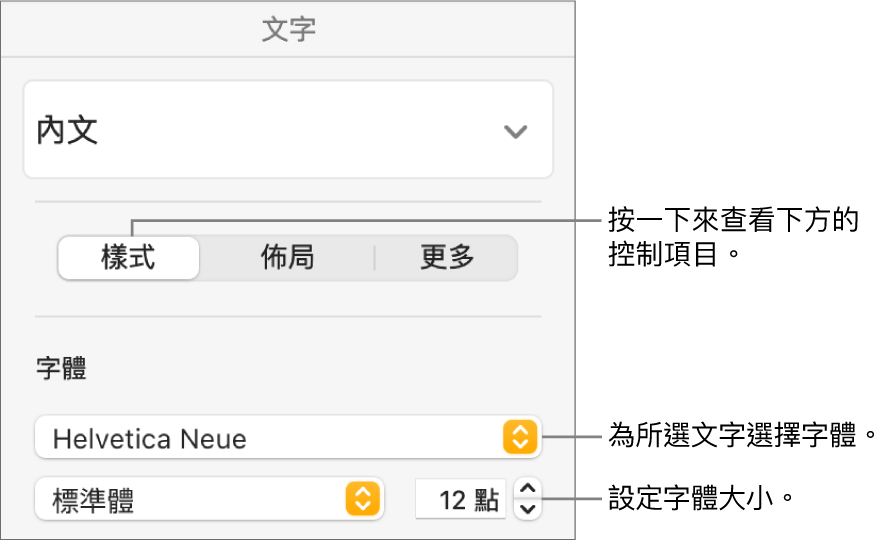 「格式」側邊欄「樣式」區域中的文字控制項目，可設定字體和字體大小。