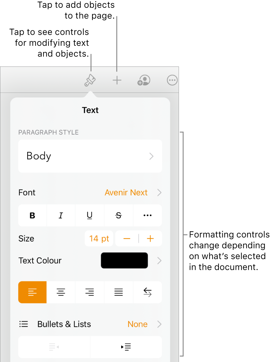 The Format controls open and showing controls to change paragraph style, modify fonts and format font spacing. Callouts at the top point out the Format button in the toolbar and to its right, the Insert button to add objects to the page.