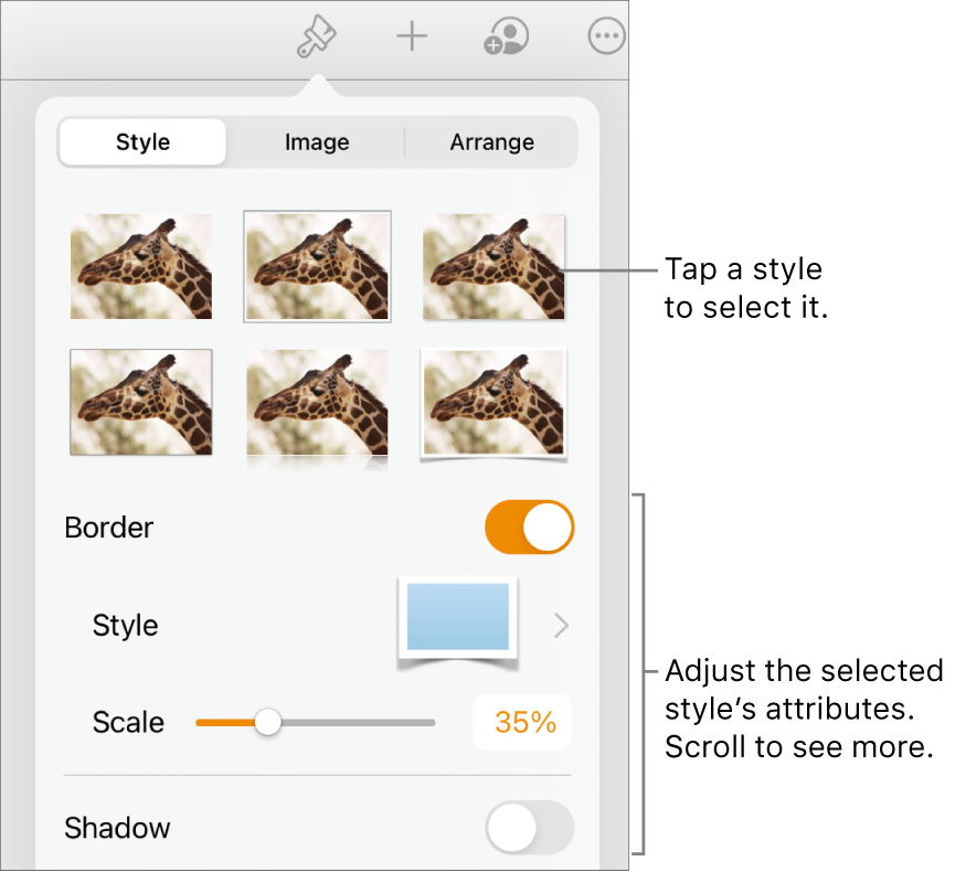 The Style tab of the Format menu with object styles at the top and controls below them to change the border, shadow, reflection, and opacity.