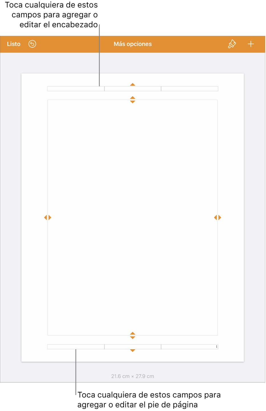 La visualización “Más opciones” con tres campos en la parte superior del documento para los encabezados y con tres campos en la parte inferior para los pies.