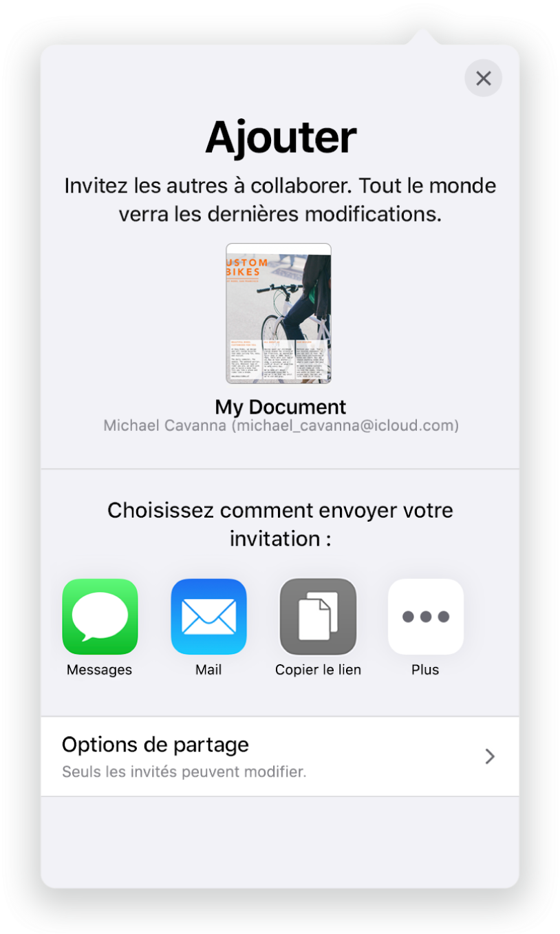 L’écran Ajouter des personnes avec l’image du document à partager. On trouve en dessous les différents boutons pour envoyer l’invitation, y compris Mail, Copier le lien et Plus. Le bouton Options de partage se trouve en bas.